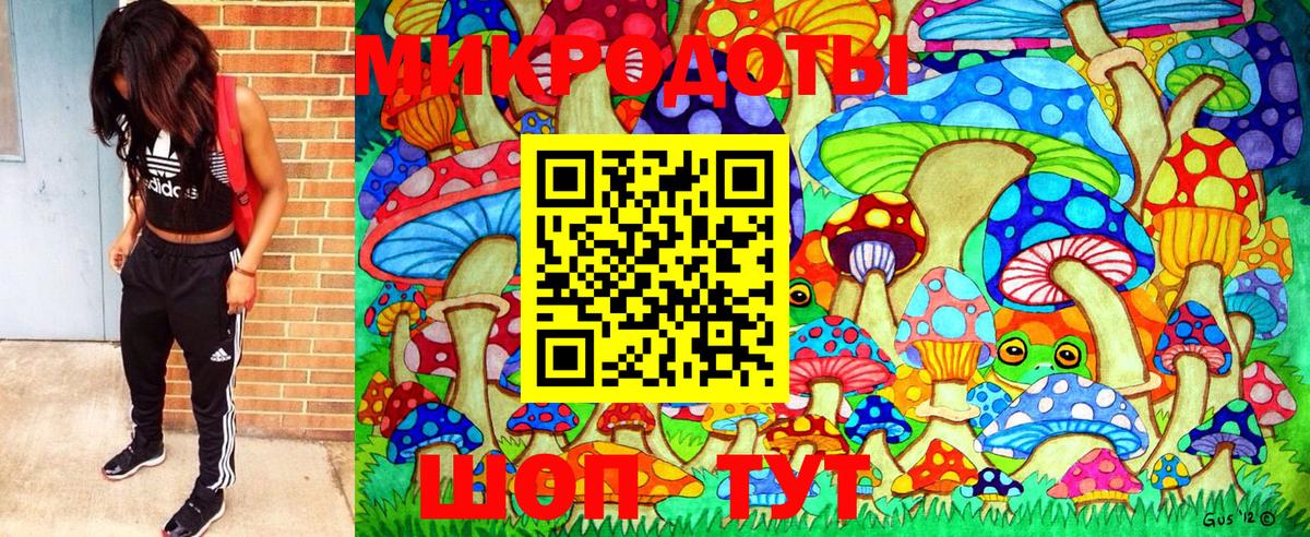 Псилоцибиновые грибы GOLDEN TEACHER Моздок
