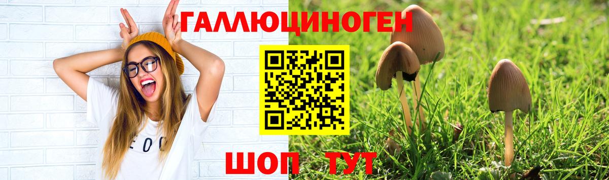 Галлюциногенные грибы мухоморы  Вход с VPN  как найти   Моздок 